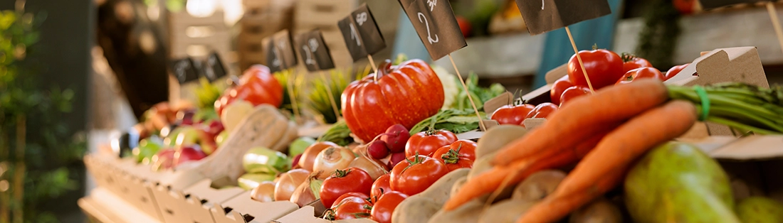 header benner for farmers market packaging landing page